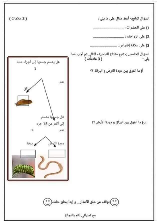 نماذج مصورة امتحان العلوم النهائي للصف الرابع الفصل الاول 2019